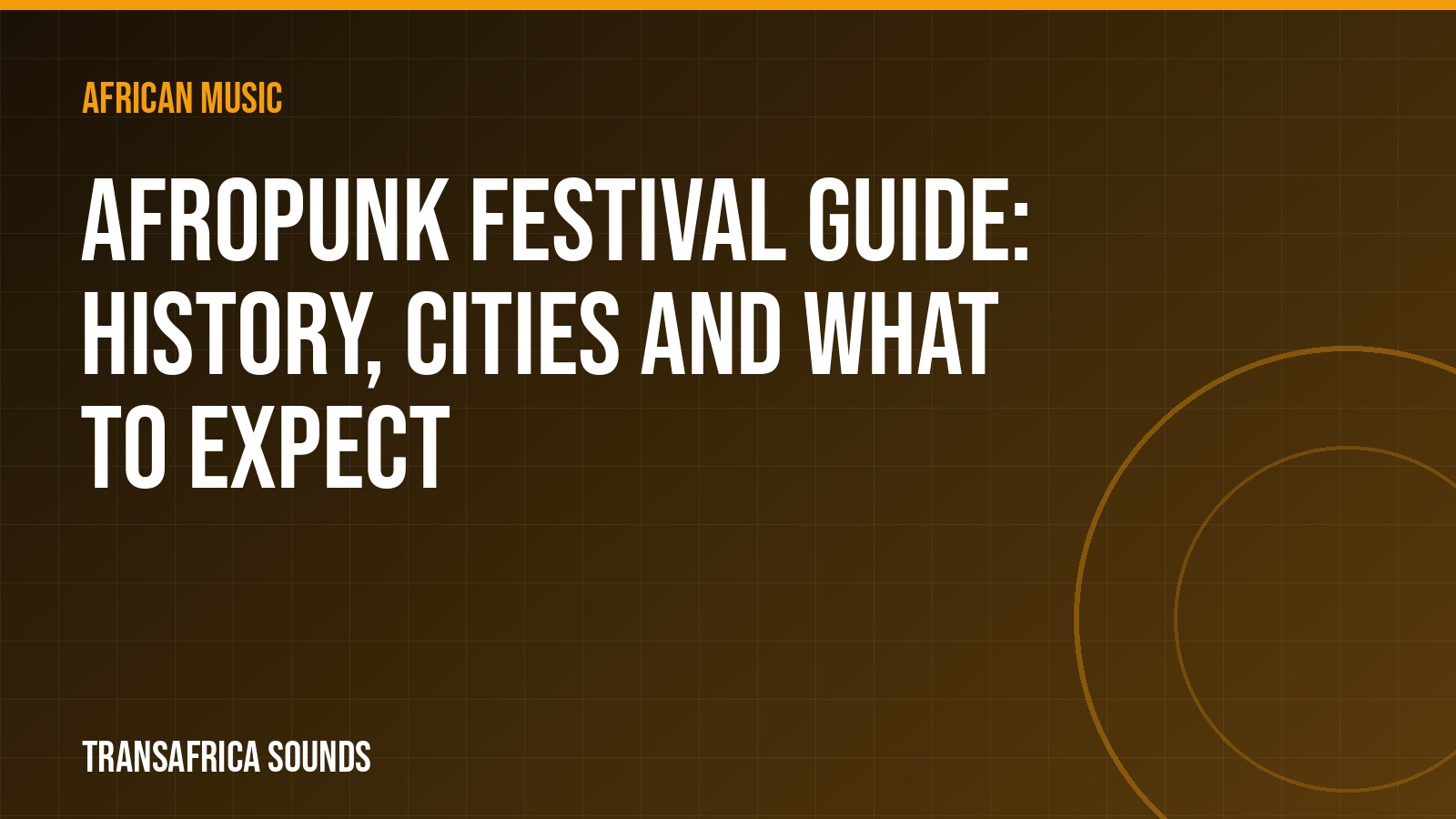 Afropunk Festival Guide: History, Cities and What to Expect